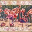 Flamingo Dance
