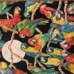 Moonlit Macaws