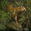 On the Hunt           oil on canvas      17" x 17" unframed size         $850.00
